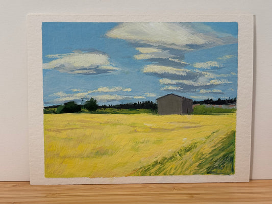County Road Series- Clouds Breezing Over Ripening Spring Wheat