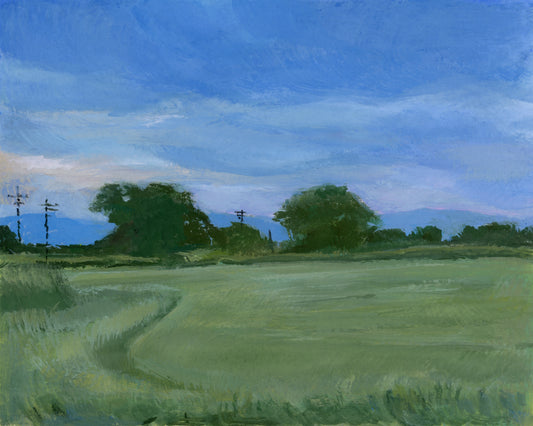 Rippling Wheat Under a Blanket of Blue